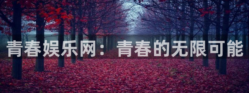汇富娱乐.com：青春娱乐网：青春的无限可能