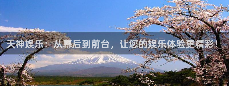 汇富娱乐游戏：天神娱乐：从幕后到前台，让您的娱乐体验更精彩！