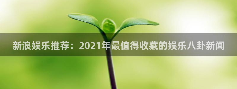 汇富娱乐app官网：新浪娱乐推荐：2021年最值得收藏的娱乐八卦新闻