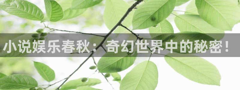 汇富娱乐注册链接入口：小说娱乐春秋：奇幻世界中的秘密！