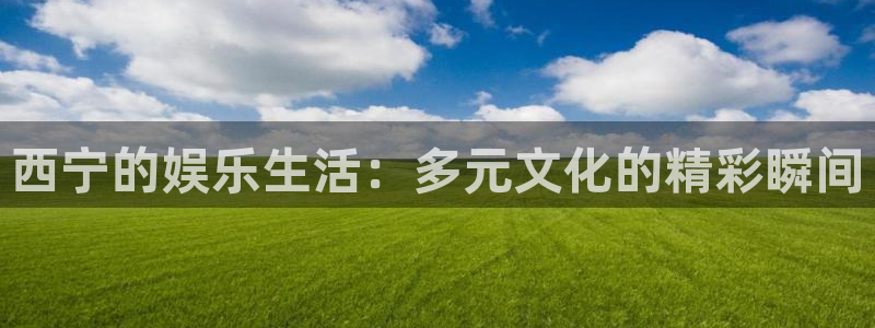 汇富娱乐app官网下载苹果：西宁的娱乐生活：多元文化的精彩瞬间