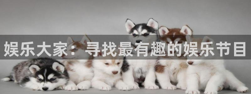 汇富娱乐平台官网入口：娱乐大家：寻找最有趣的娱乐节目