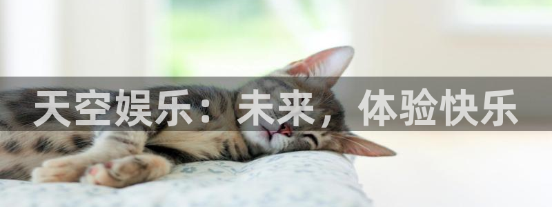 壹号大舞台下载：天空娱乐：未来，体验快乐