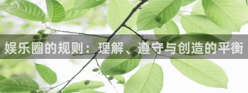 汇富娱乐(com.youad.authst)：娱乐圈的规则：理解、遵守与创造的平衡