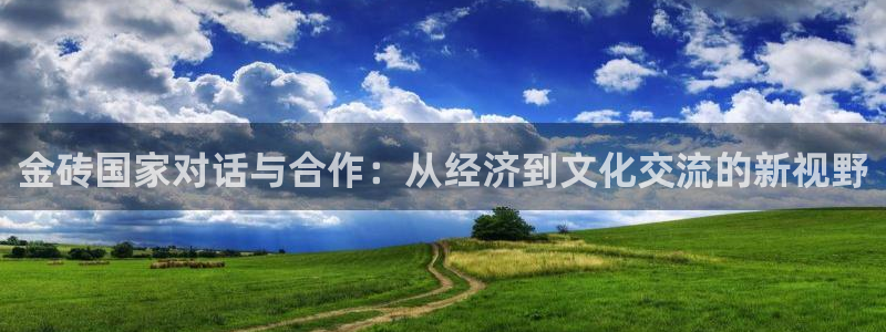 壹号平台下载安装：金砖国家对话与合作：从经济到文化交流的新视野