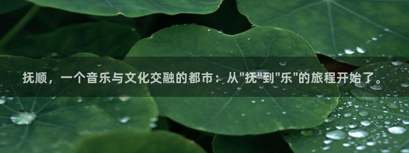 汇富娱乐网址：抚顺，一个音乐与文化交融的都市：从\