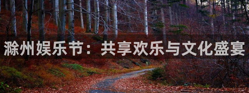 汇富娱乐com：滁州娱乐节：共享欢乐与文化盛宴