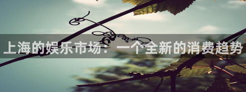 汇富娱乐路线1：上海的娱乐市场：一个全新的消费趋势