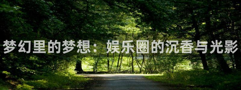 汇富娱乐app：梦幻里的梦想：娱乐圈的沉香与光影