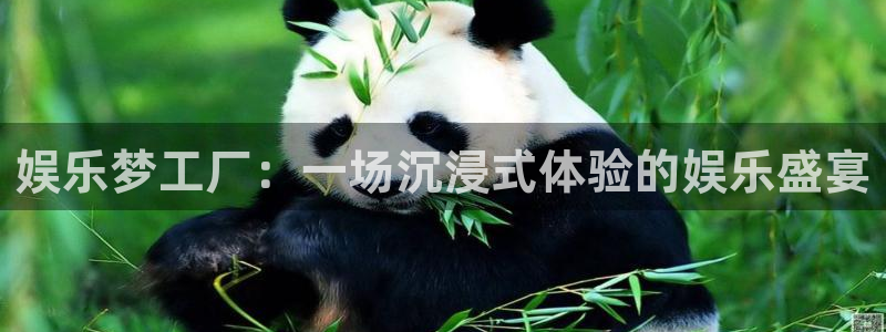 汇富娱乐.ccm苹果版：娱乐梦工厂：一场沉浸式体验的娱乐盛宴
